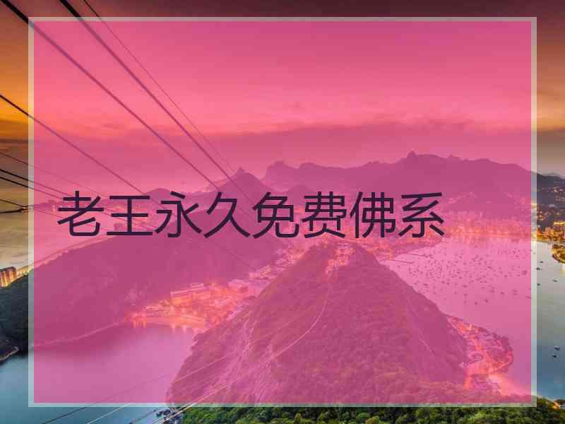老王永久免费佛系