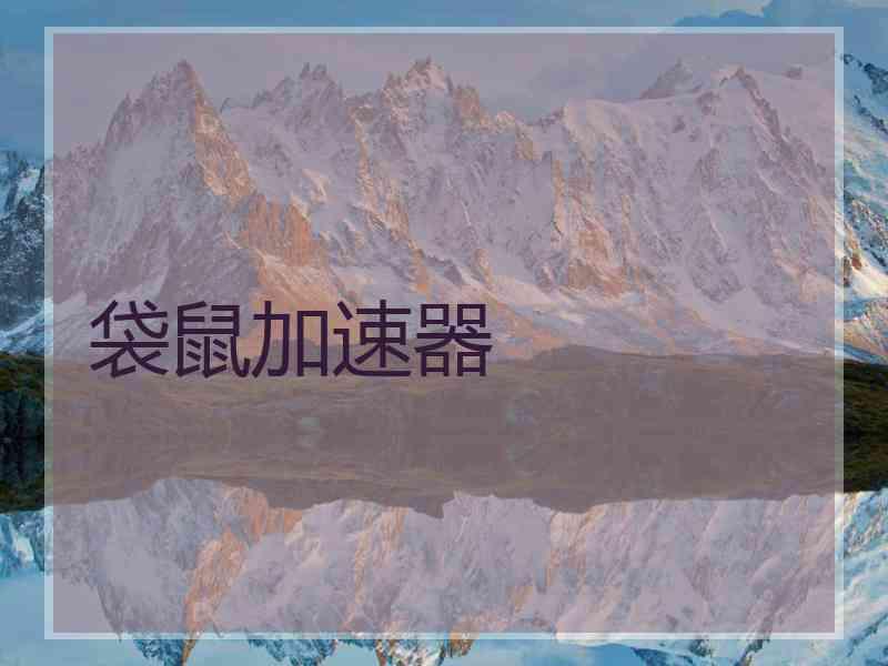 袋鼠加速器