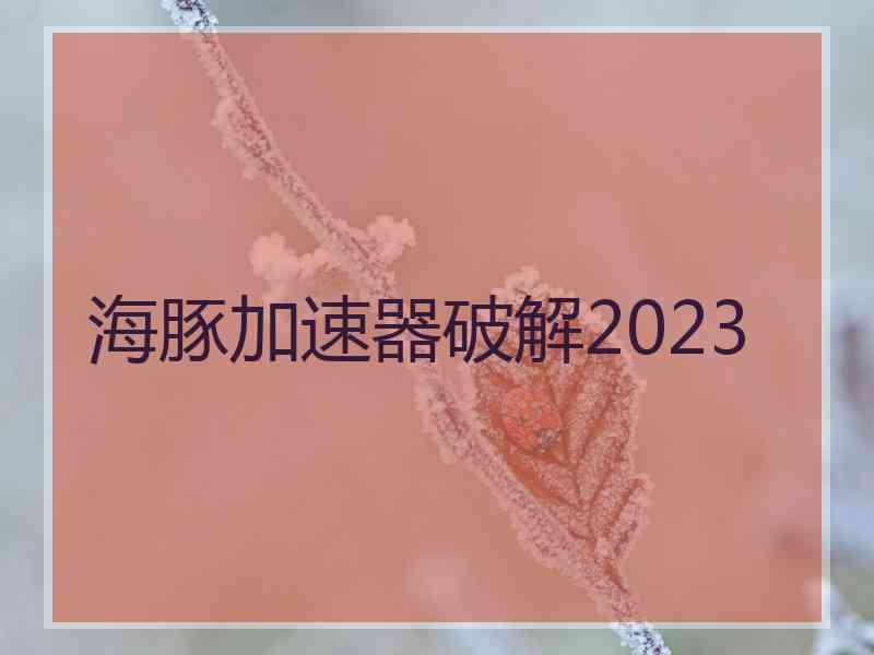 海豚加速器破解2023