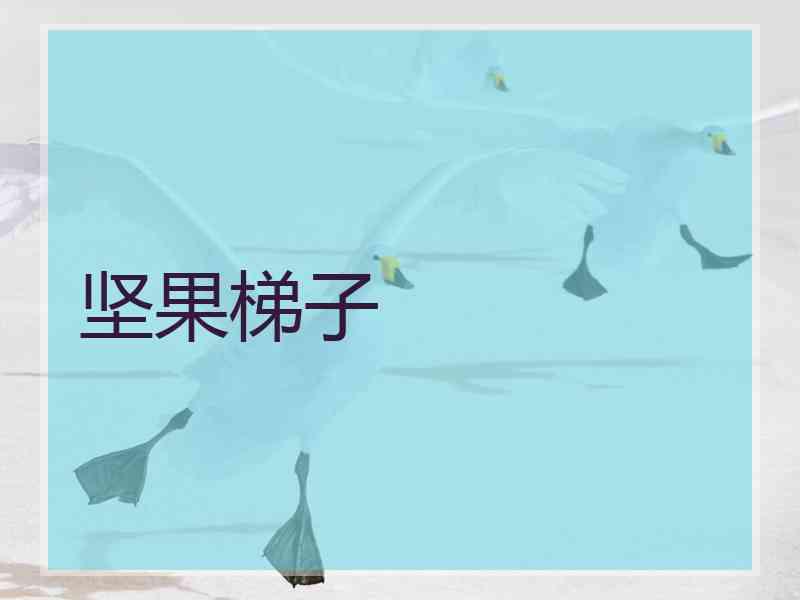 坚果梯子