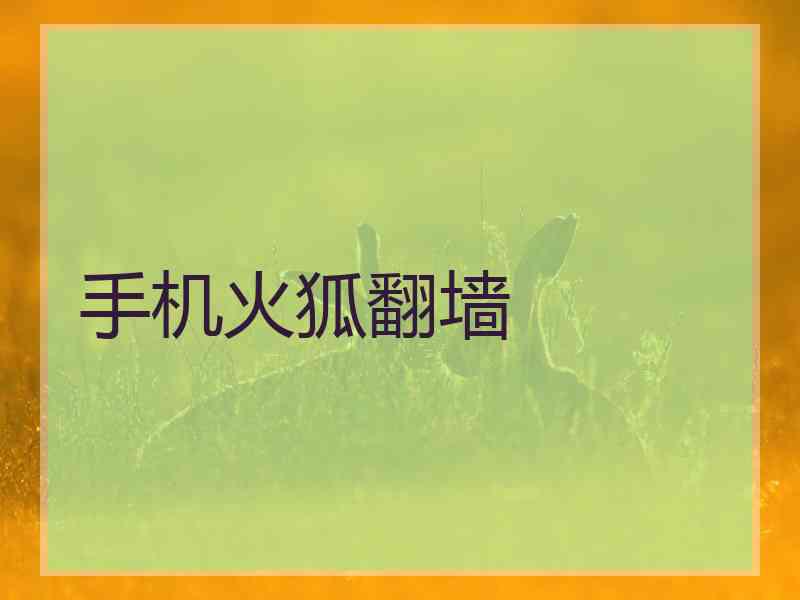 手机火狐翻墙
