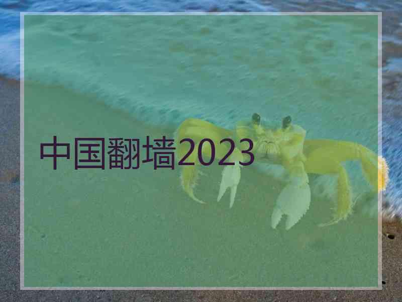 中国翻墙2023