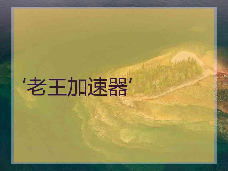 ‘老王加速器’