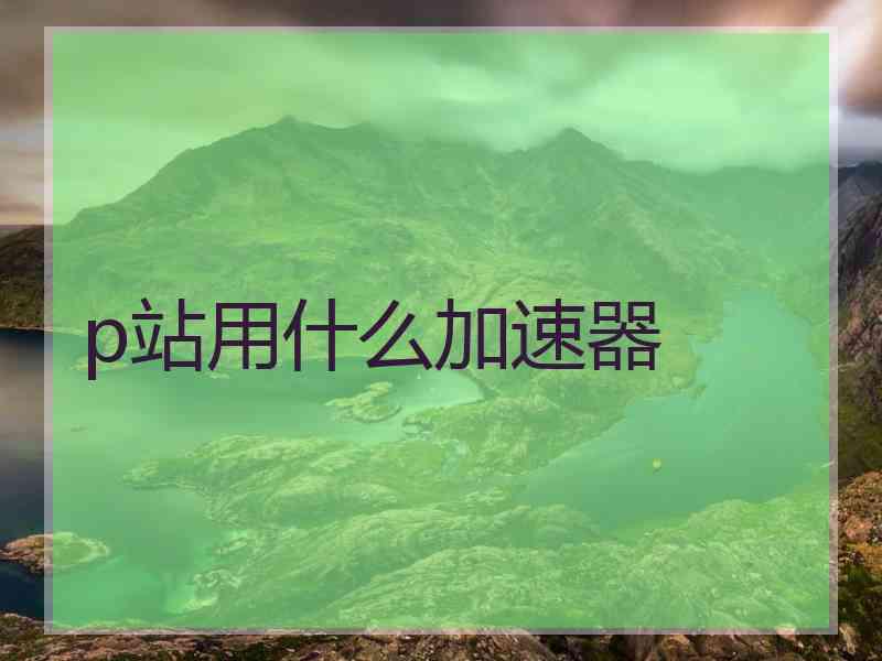 p站用什么加速器