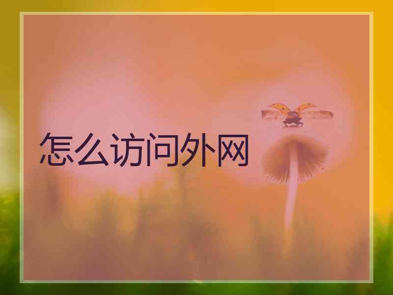 怎么访问外网