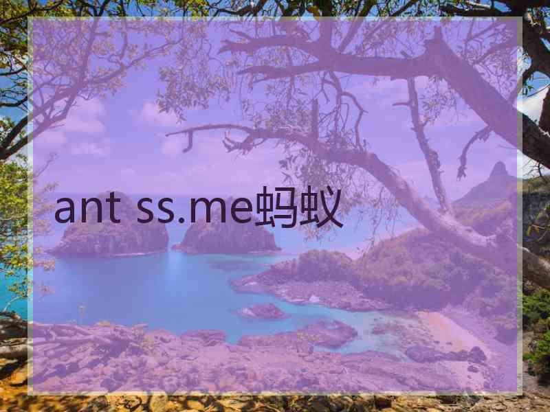 ant ss.me蚂蚁