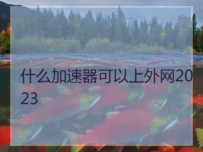 什么加速器可以上外网2023