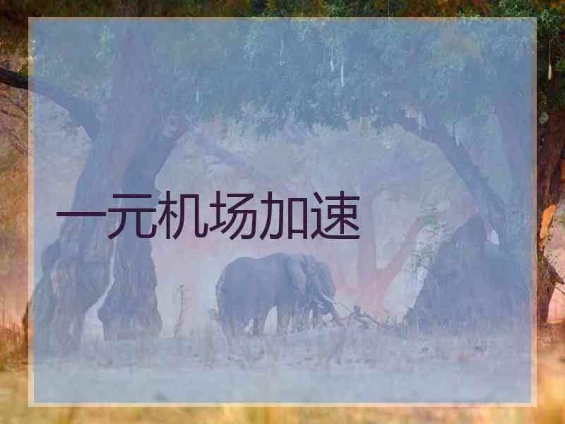 一元机场加速
