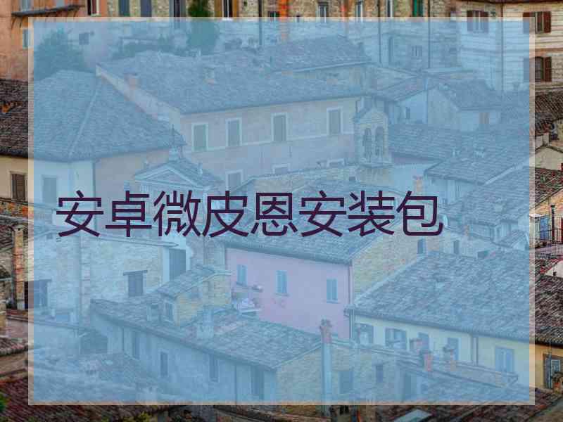 安卓微皮恩安装包