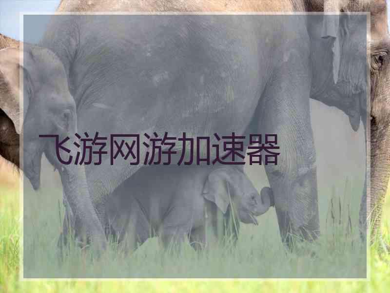 飞游网游加速器