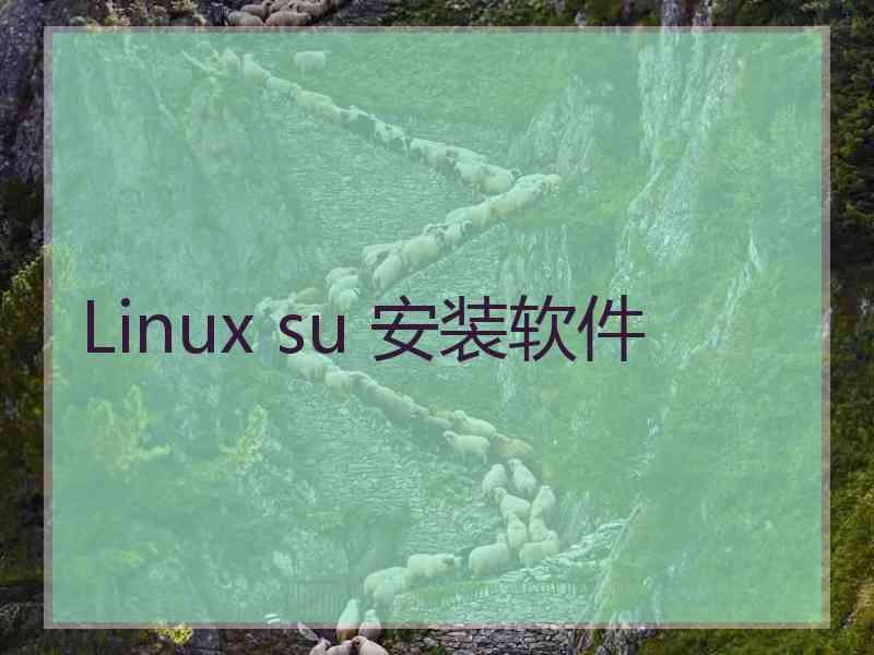 Linux su 安装软件