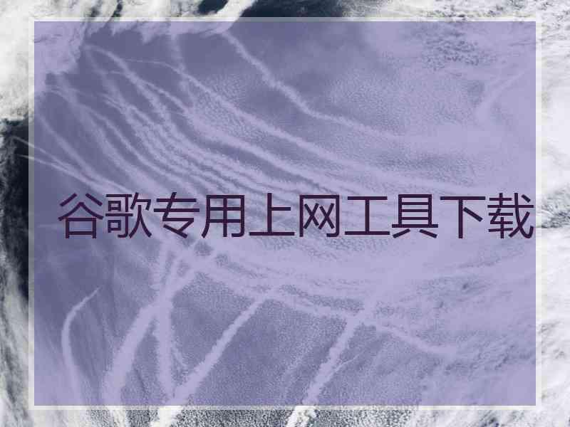 谷歌专用上网工具下载