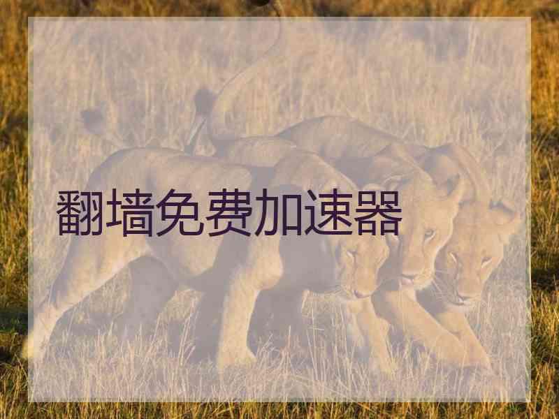 翻墙免费加速器