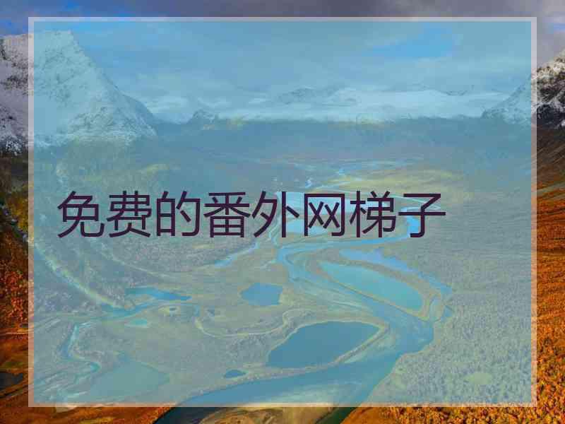 免费的番外网梯子