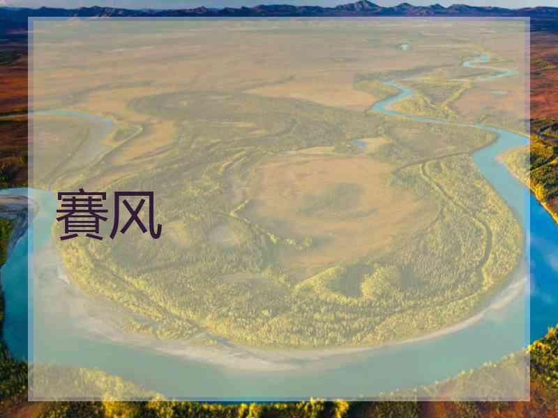 賽风