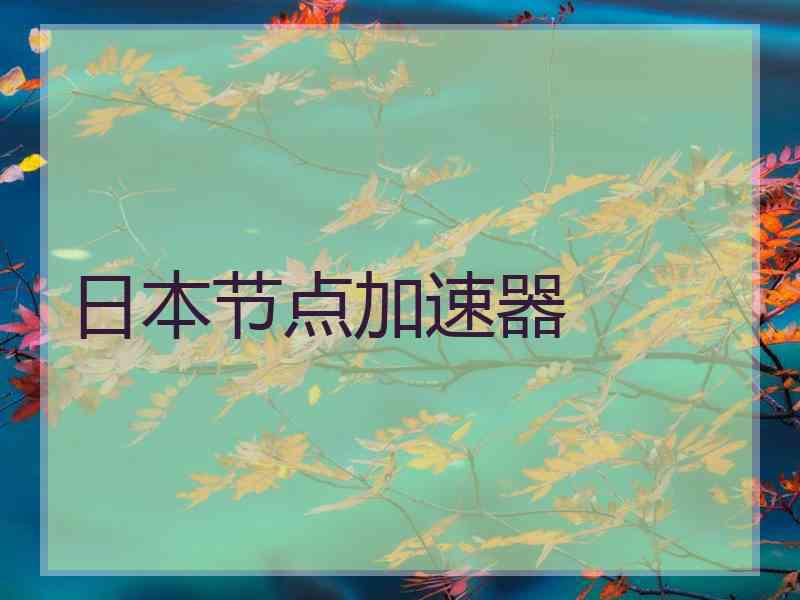 日本节点加速器