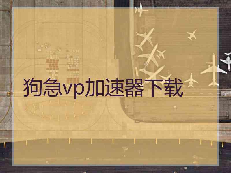 狗急vp加速器下载