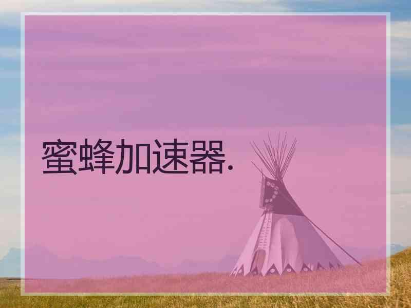 蜜蜂加速器.