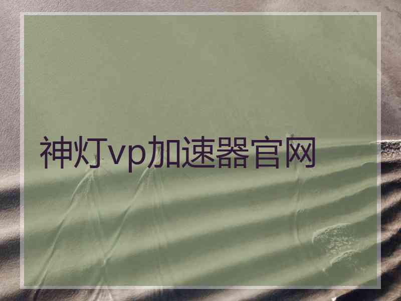 神灯vp加速器官网
