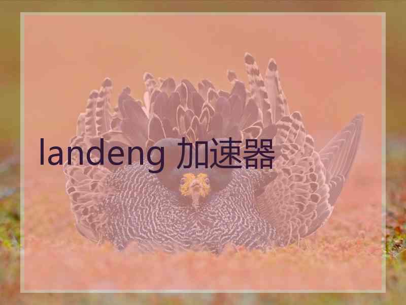 landeng 加速器