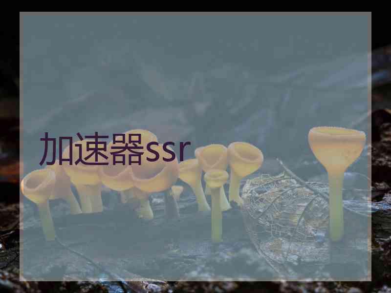 加速器ssr