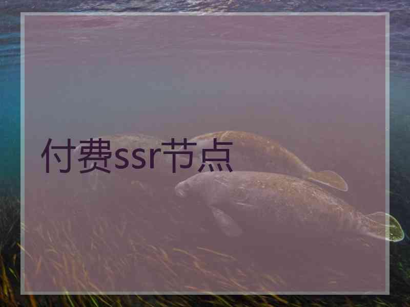 付费ssr节点
