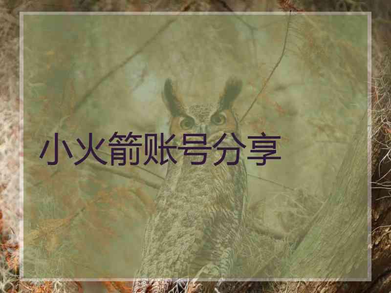 小火箭账号分享