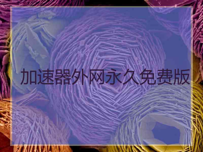 加速器外网永久免费版