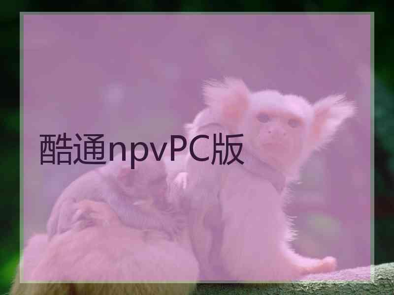 酷通npvPC版