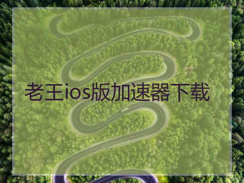老王ios版加速器下载
