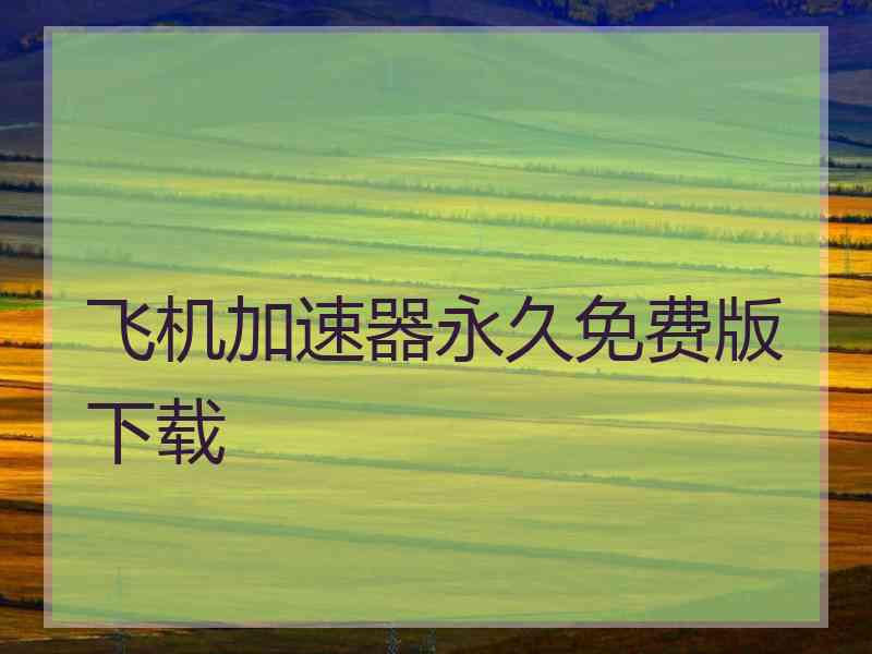 飞机加速器永久免费版下载
