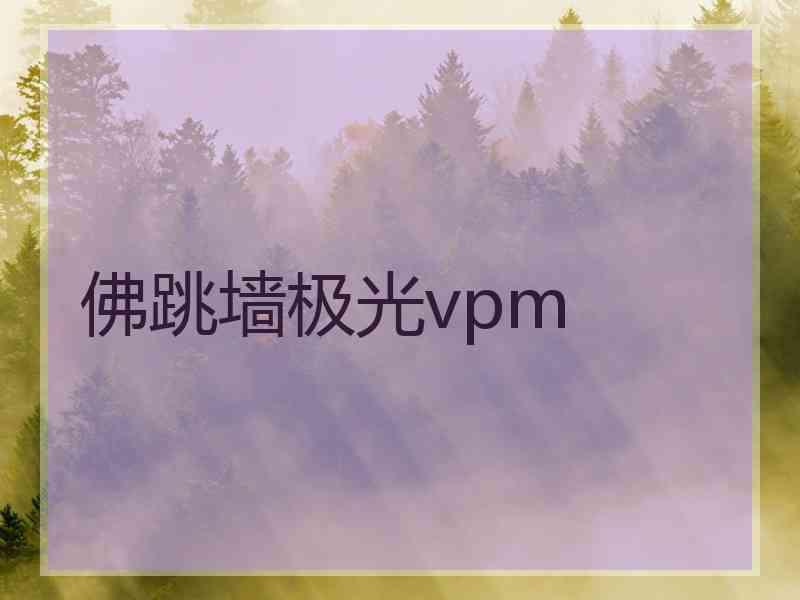 佛跳墙极光vpm