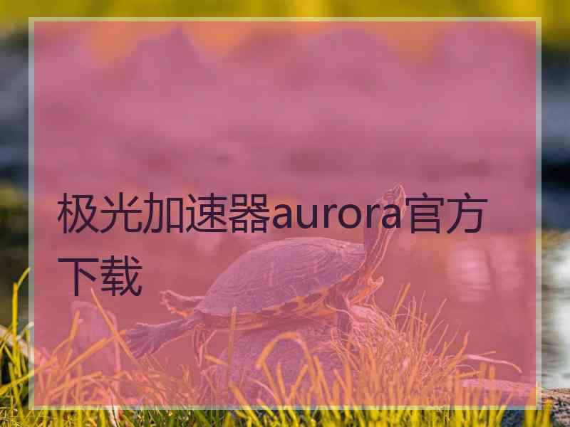 极光加速器aurora官方下载