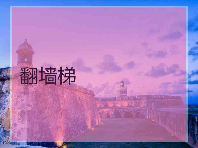 翻墙梯