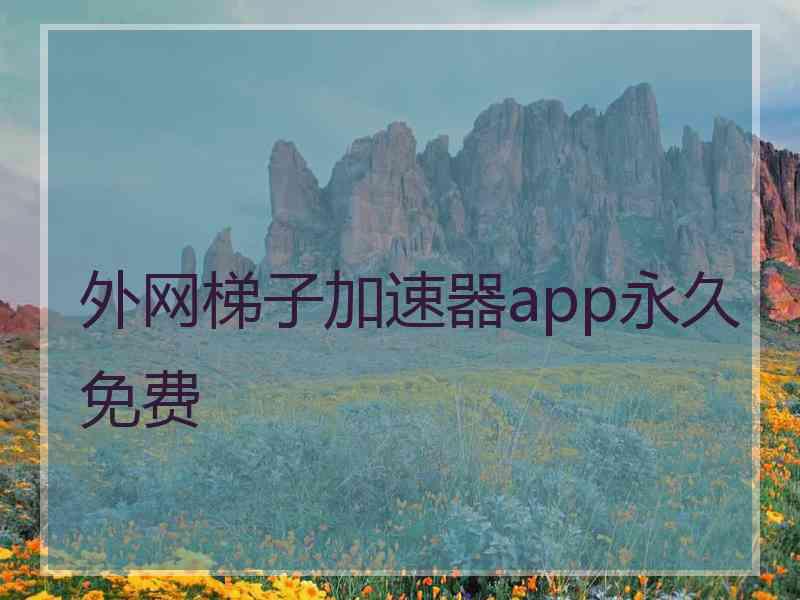 外网梯子加速器app永久免费