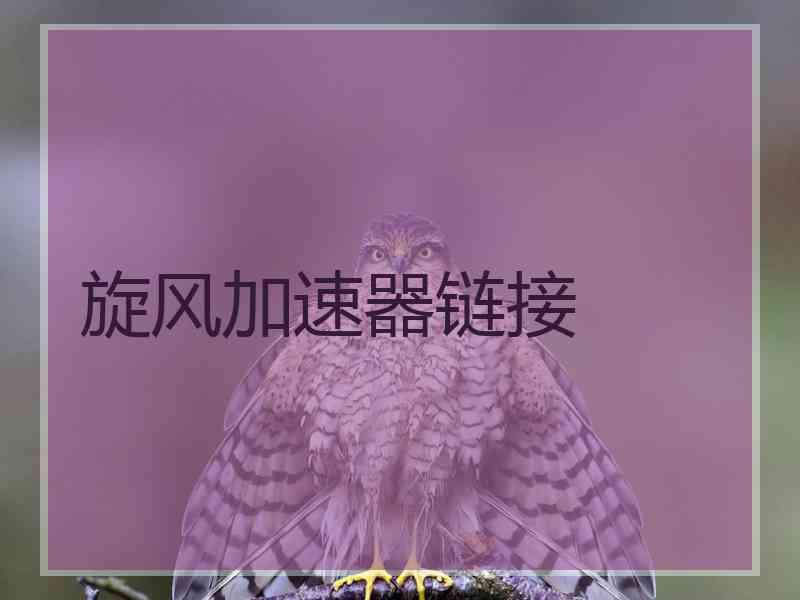 旋风加速器链接