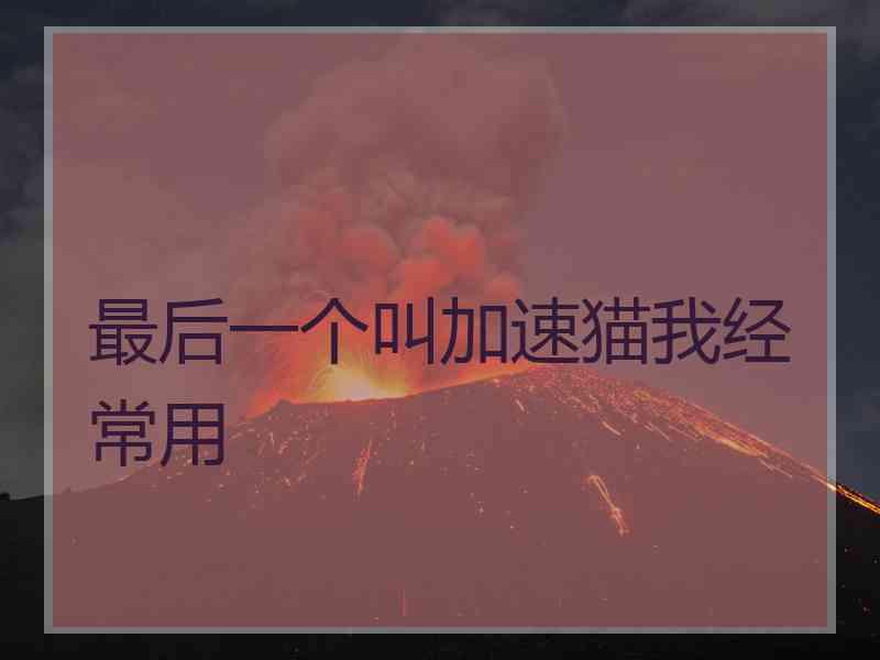 最后一个叫加速猫我经常用