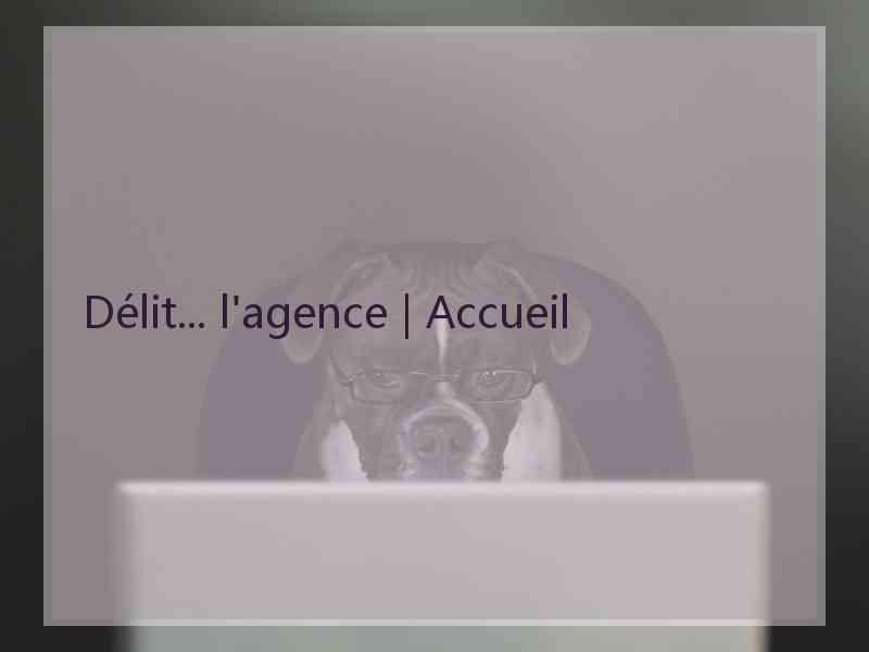 Délit... l'agence | Accueil