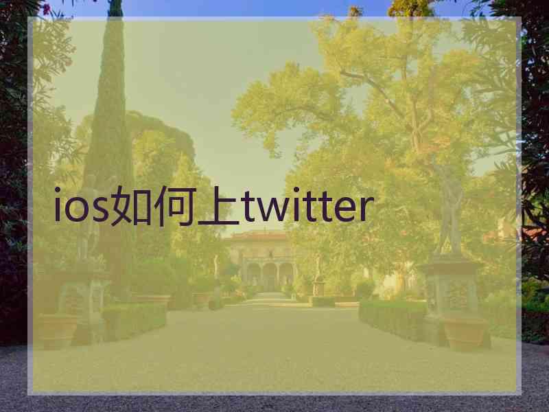 ios如何上twitter