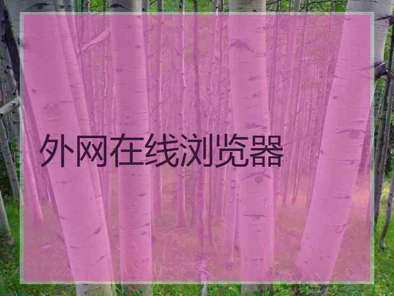 外网在线浏览器