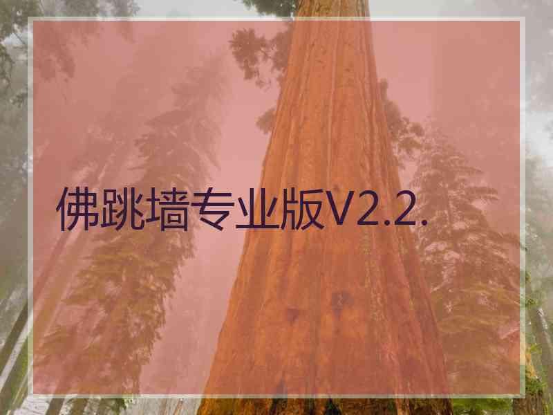 佛跳墙专业版V2.2.
