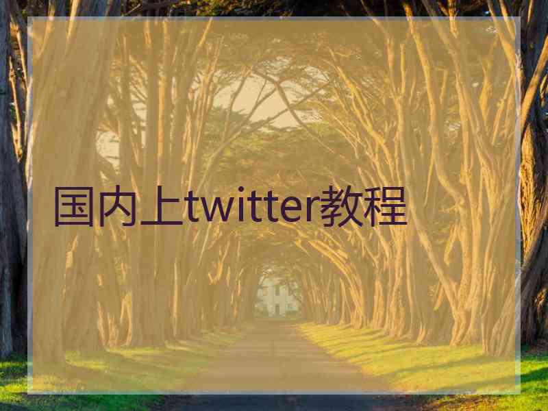 国内上twitter教程
