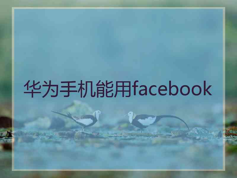 华为手机能用facebook