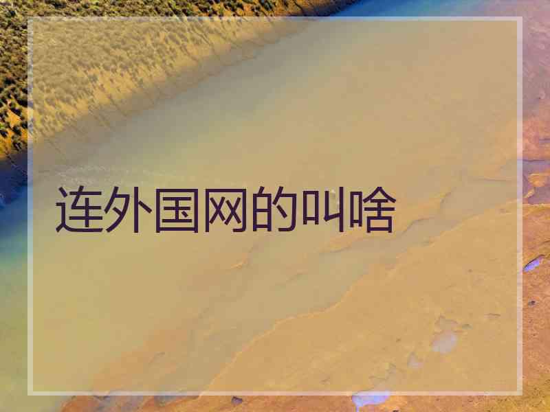 连外国网的叫啥