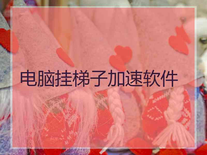 电脑挂梯子加速软件