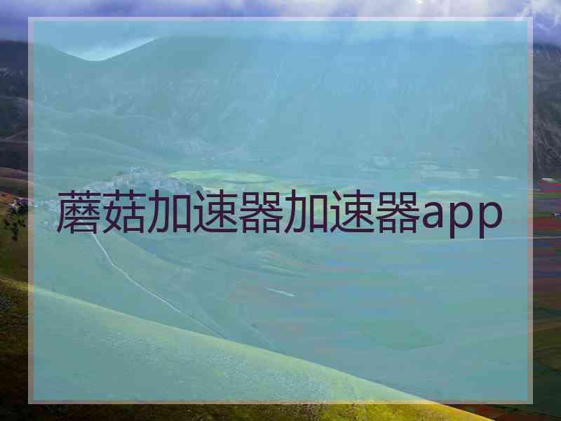 蘑菇加速器加速器app