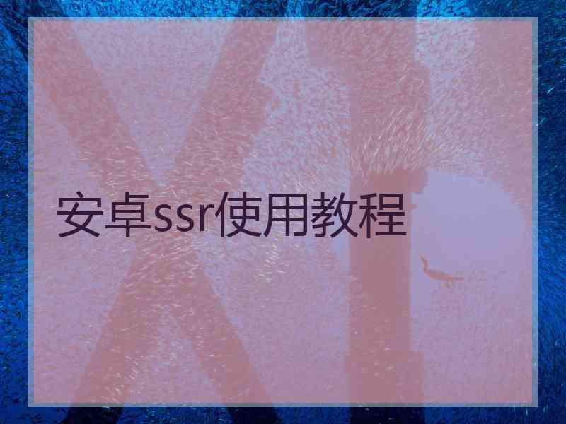 安卓ssr使用教程