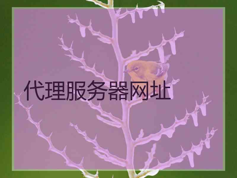 代理服务器网址