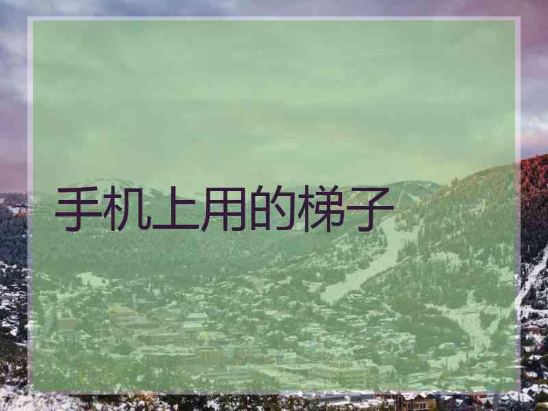 手机上用的梯子