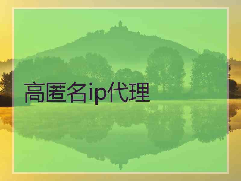高匿名ip代理